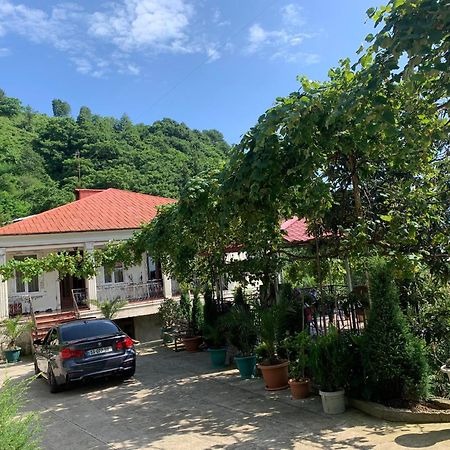 Guesthouse Mtsvane Koncxi 22 Mtsvane Konts'khi Exteriör bild
